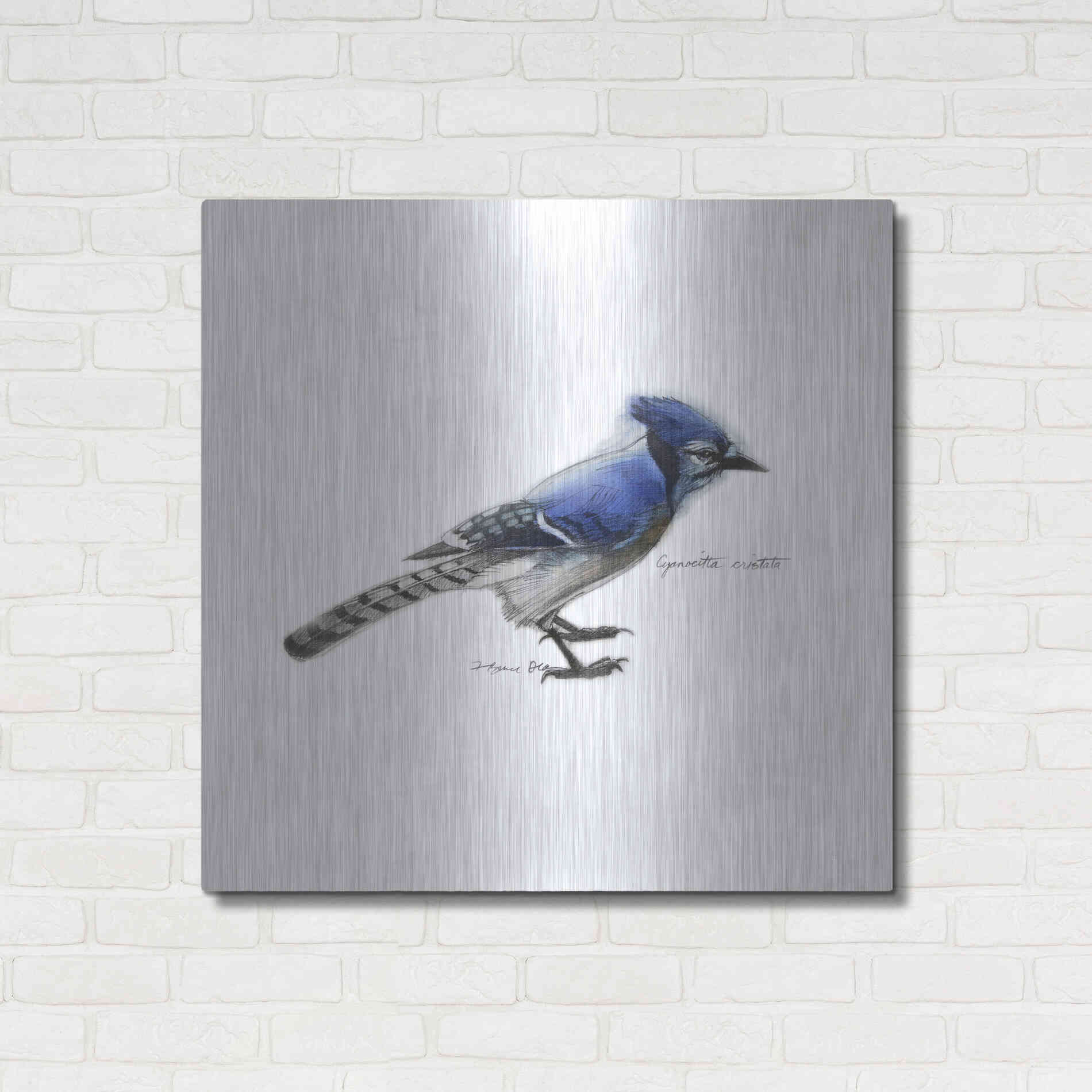 Luxe Metal Art 'Songbird Study III' by Bruce Dean, Metal Wall Art,36x36