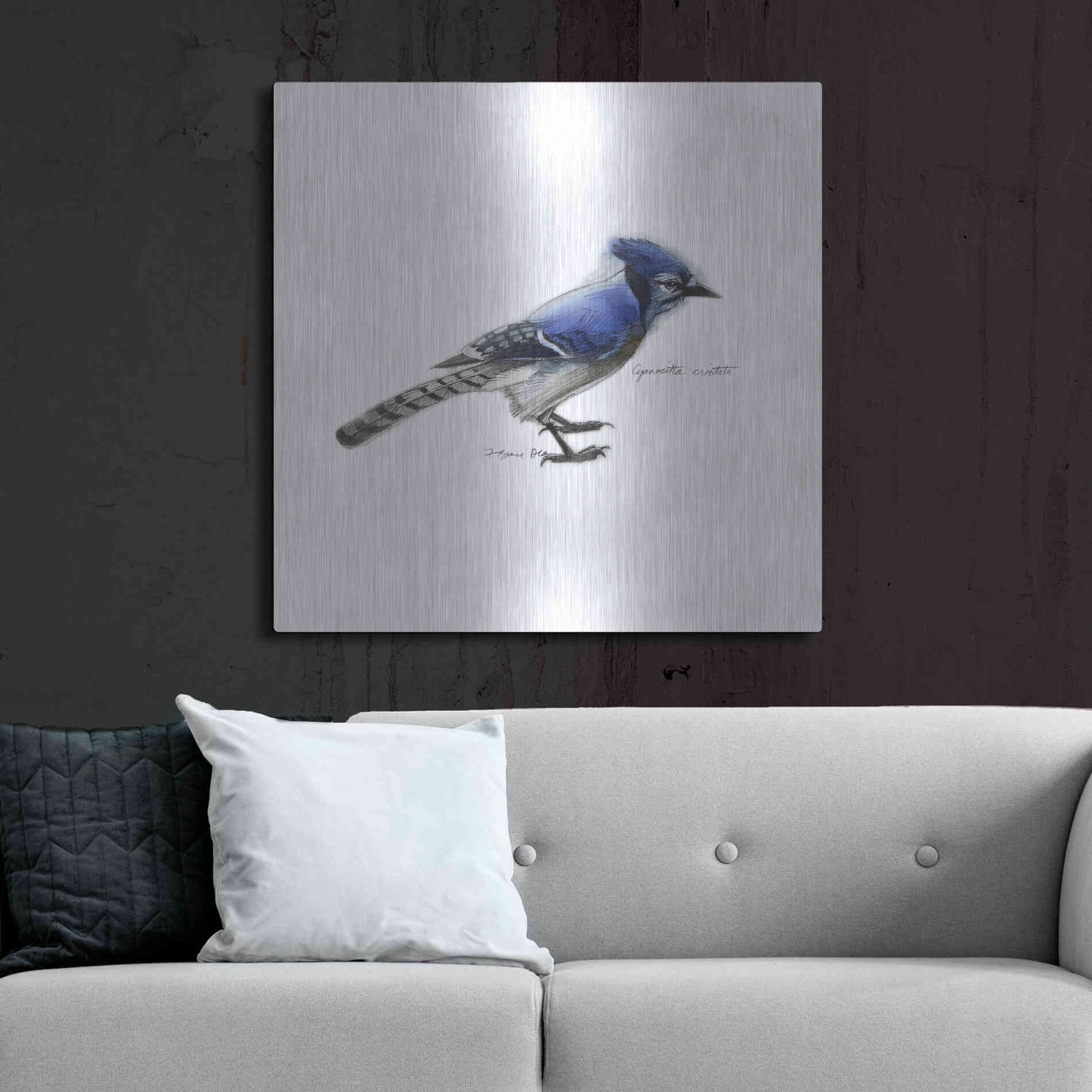 Luxe Metal Art 'Songbird Study III' by Bruce Dean, Metal Wall Art,36x36