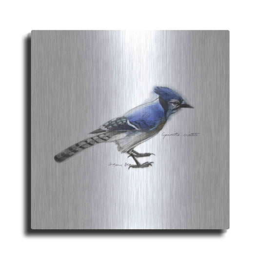 Luxe Metal Art 'Songbird Study III' by Bruce Dean, Metal Wall Art