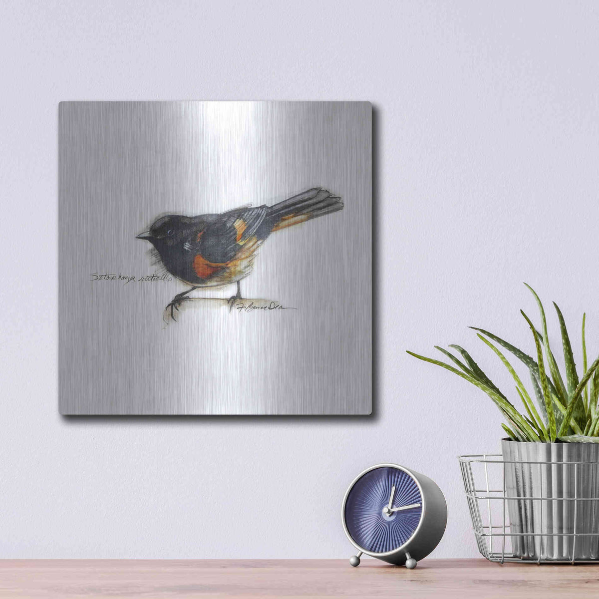 Luxe Metal Art 'Songbird Study IV' by Bruce Dean, Metal Wall Art,12x12