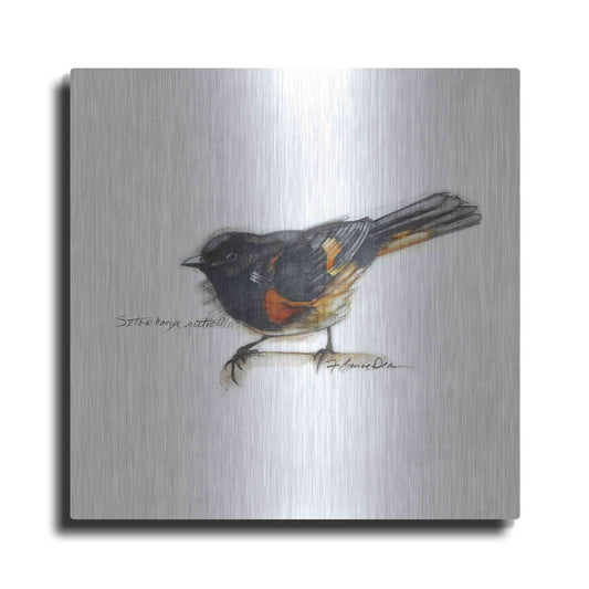 Luxe Metal Art 'Songbird Study IV' by Bruce Dean, Metal Wall Art