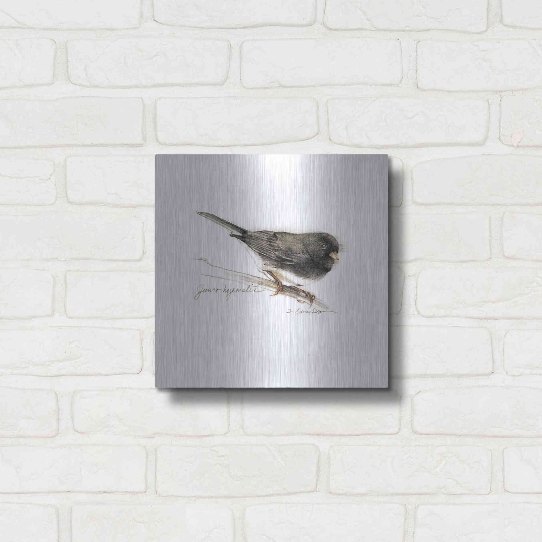 Luxe Metal Art 'Songbird Study V' by Bruce Dean, Metal Wall Art,12x12