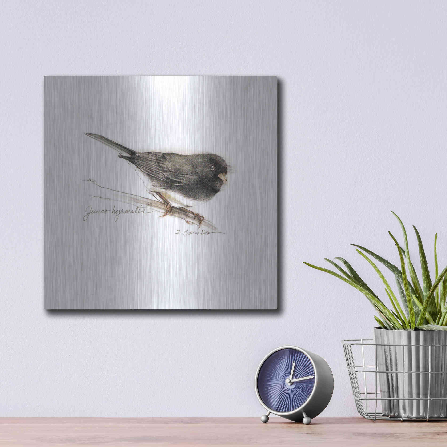 Luxe Metal Art 'Songbird Study V' by Bruce Dean, Metal Wall Art,12x12