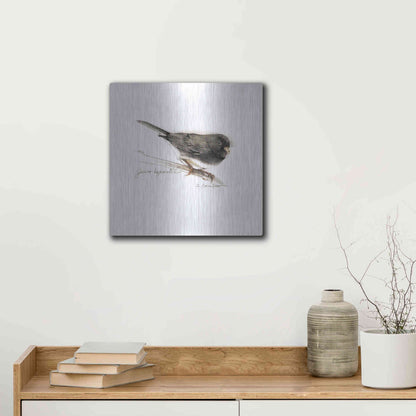 Luxe Metal Art 'Songbird Study V' by Bruce Dean, Metal Wall Art,12x12