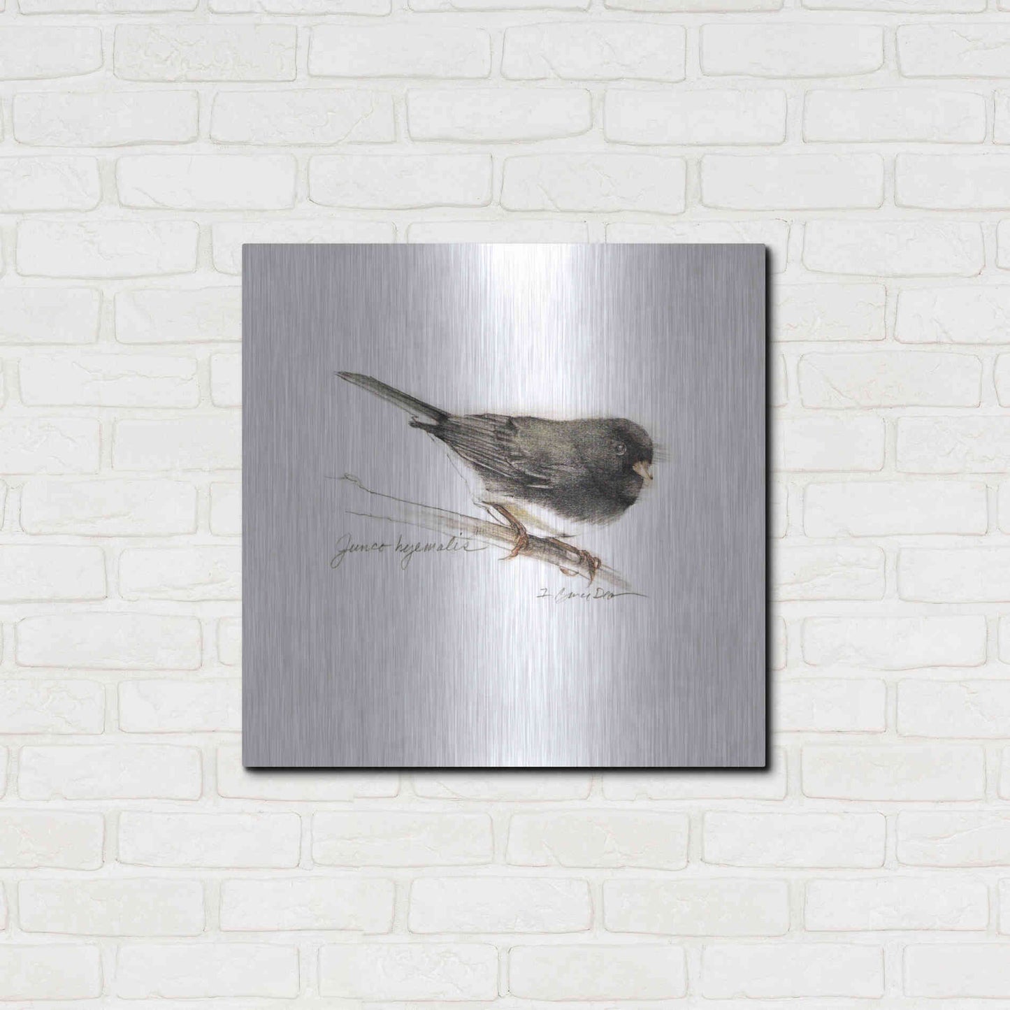 Luxe Metal Art 'Songbird Study V' by Bruce Dean, Metal Wall Art,24x24