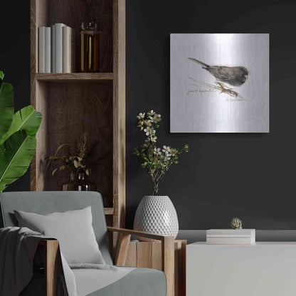 Luxe Metal Art 'Songbird Study V' by Bruce Dean, Metal Wall Art,24x24