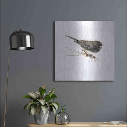 Luxe Metal Art 'Songbird Study V' by Bruce Dean, Metal Wall Art,24x24