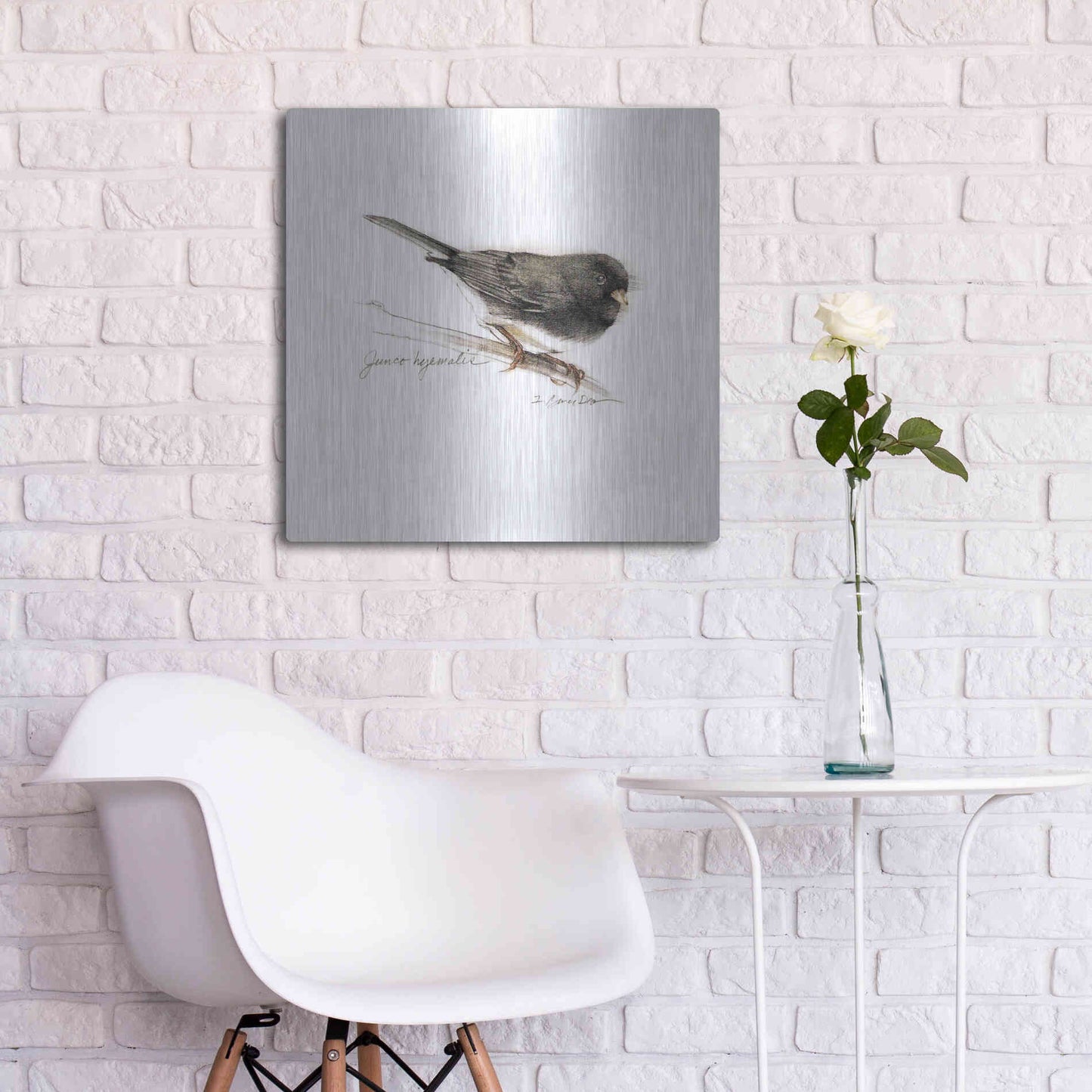 Luxe Metal Art 'Songbird Study V' by Bruce Dean, Metal Wall Art,24x24