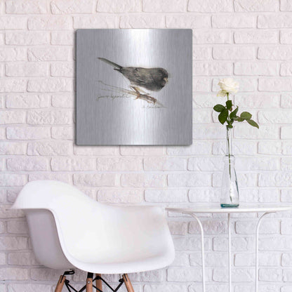 Luxe Metal Art 'Songbird Study V' by Bruce Dean, Metal Wall Art,24x24