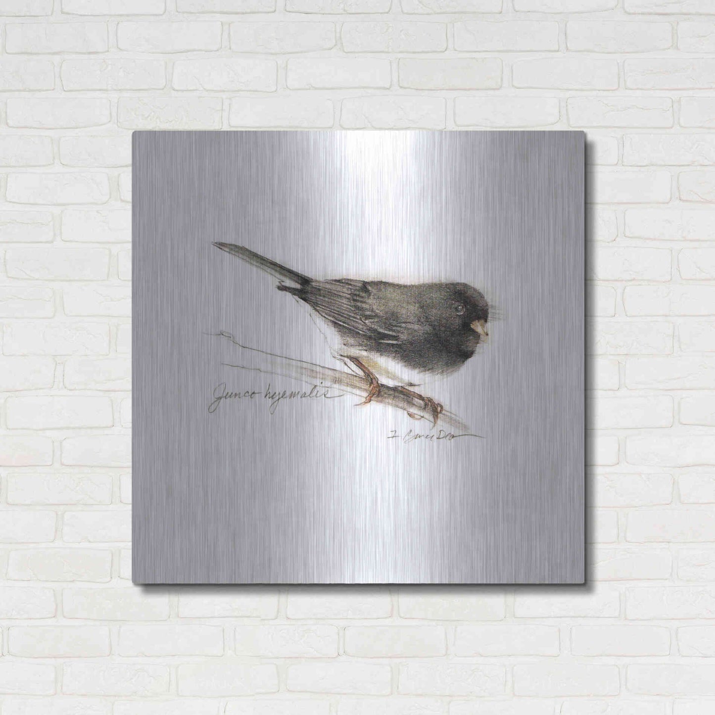 Luxe Metal Art 'Songbird Study V' by Bruce Dean, Metal Wall Art,36x36