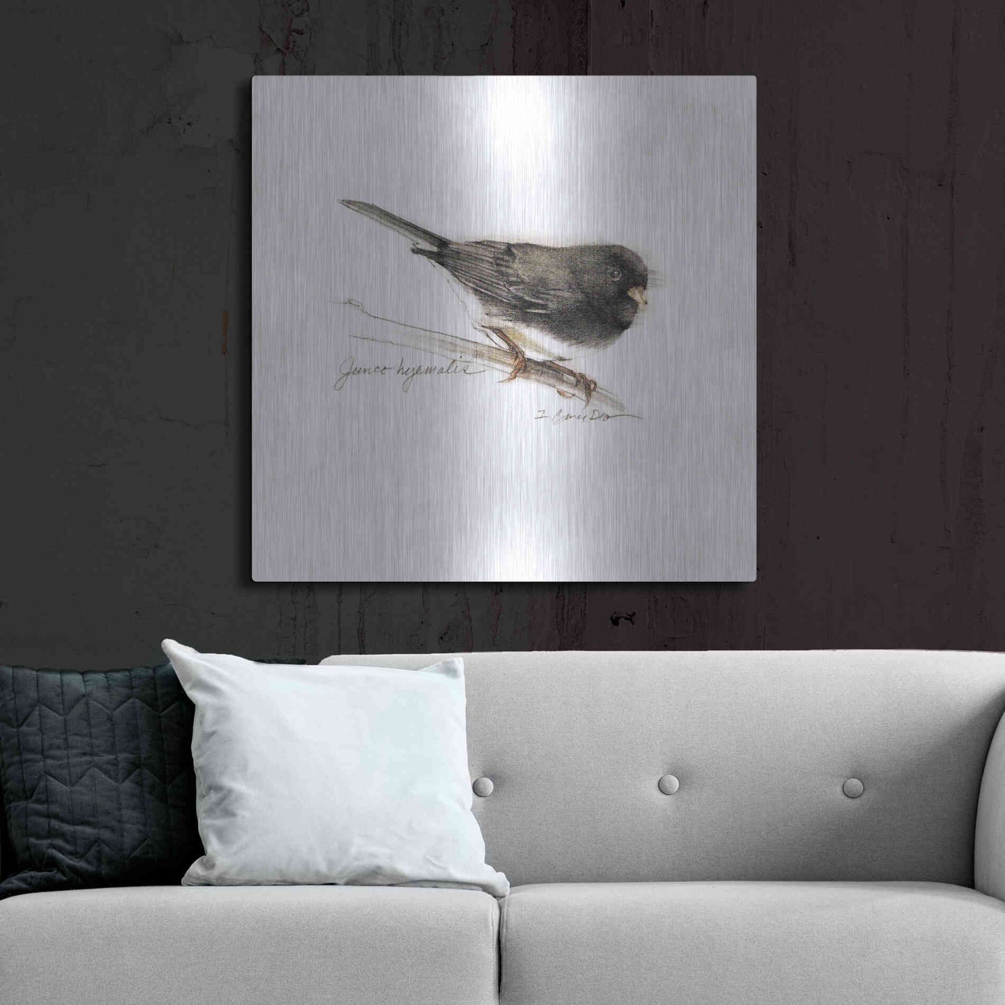 Luxe Metal Art 'Songbird Study V' by Bruce Dean, Metal Wall Art,36x36