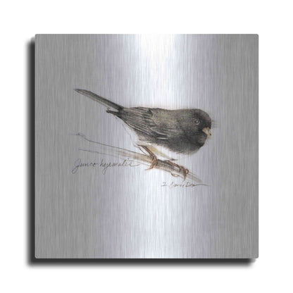 Luxe Metal Art 'Songbird Study V' by Bruce Dean, Metal Wall Art