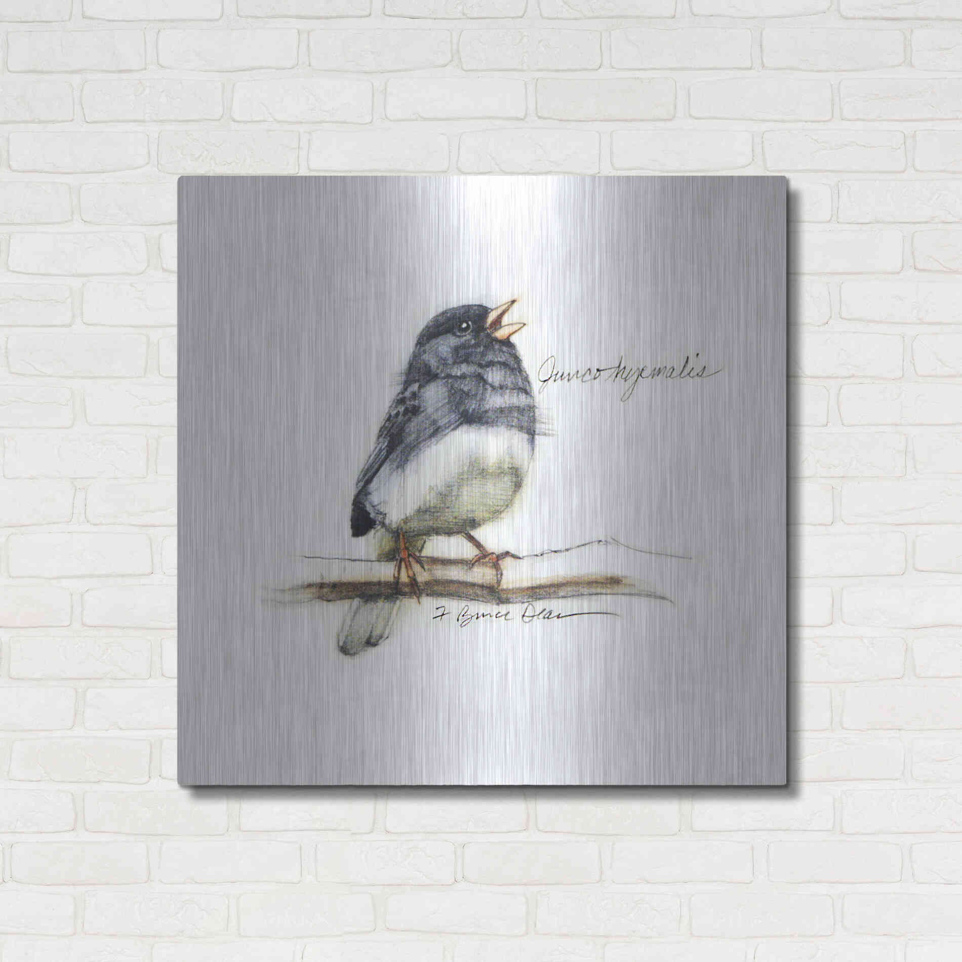 Luxe Metal Art 'Songbird Study VI' by Bruce Dean, Metal Wall Art,36x36