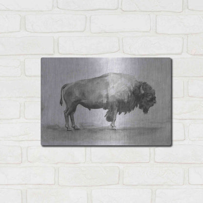 Luxe Metal Art 'Wild Bison Study I' by Emma Scarvey, Metal Wall Art,16x12