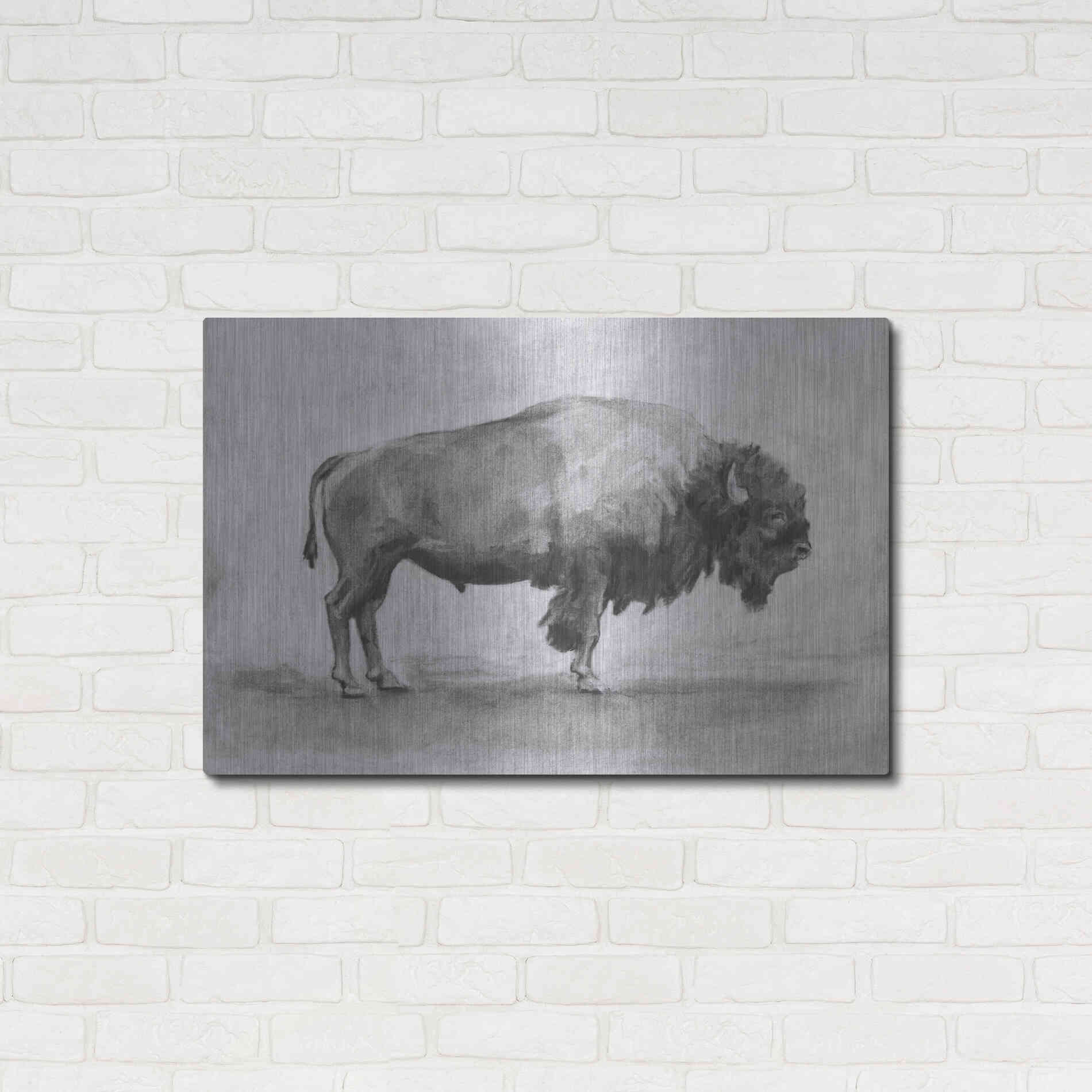 Luxe Metal Art 'Wild Bison Study I' by Emma Scarvey, Metal Wall Art,36x24