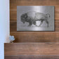 Luxe Metal Art 'Wild Bison Study II' by Emma Scarvey, Metal Wall Art,16x12