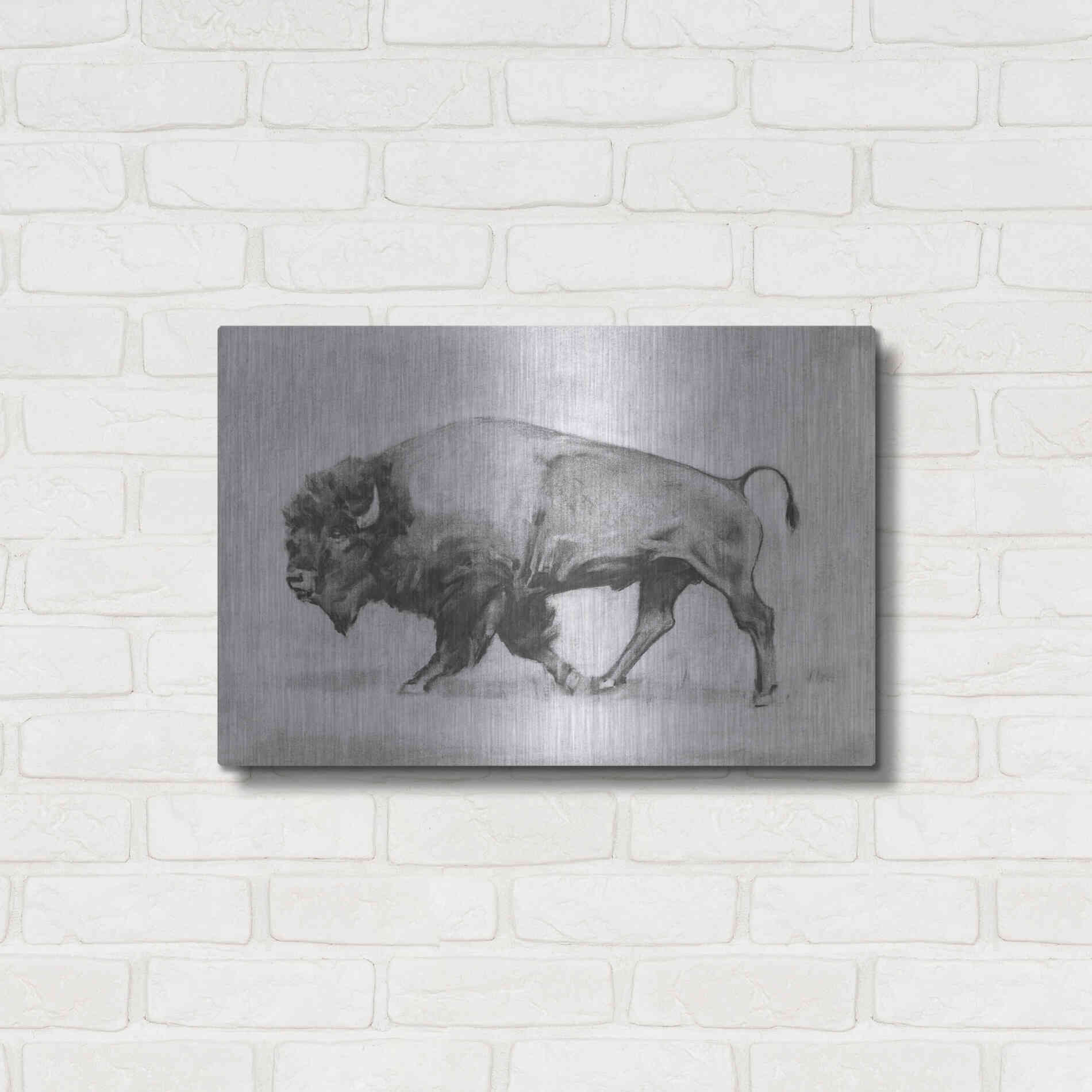 Luxe Metal Art 'Wild Bison Study II' by Emma Scarvey, Metal Wall Art,24x16