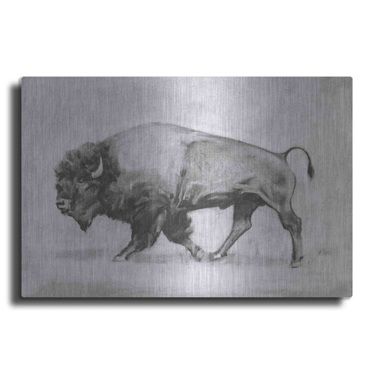 Luxe Metal Art 'Wild Bison Study II' by Emma Scarvey, Metal Wall Art