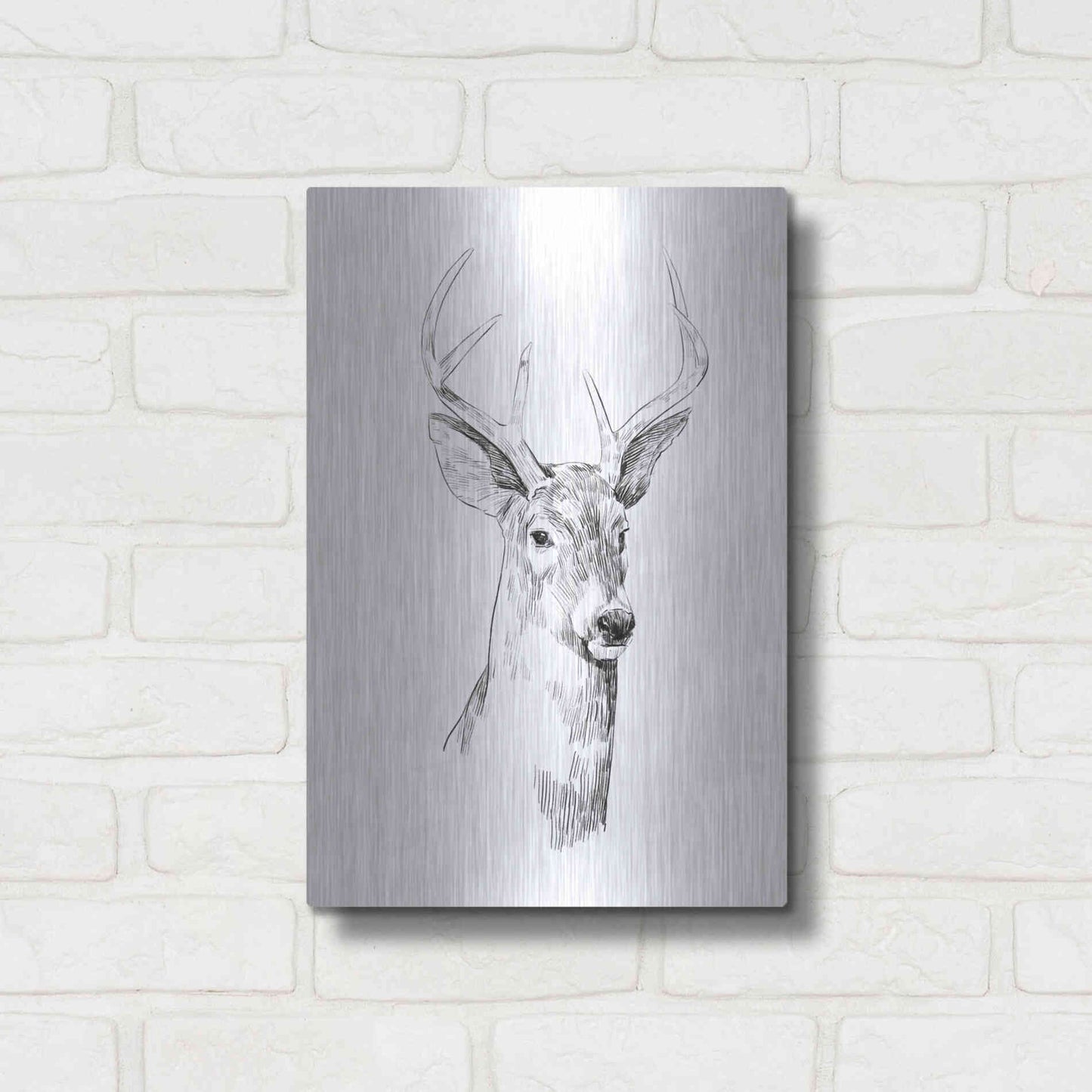 Luxe Metal Art 'Young Buck Sketch I' by Emma Scarvey, Metal Wall Art,12x16