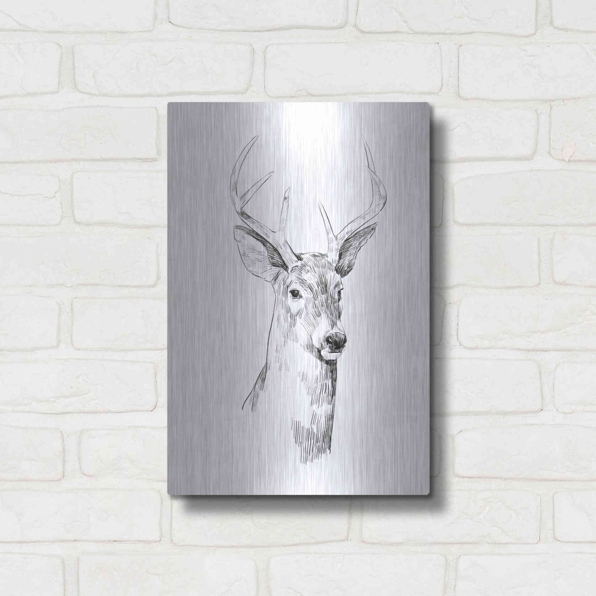 Luxe Metal Art 'Young Buck Sketch I' by Emma Scarvey, Metal Wall Art,12x16