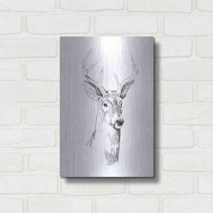 Luxe Metal Art 'Young Buck Sketch I' by Emma Scarvey, Metal Wall Art,12x16