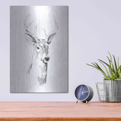 Luxe Metal Art 'Young Buck Sketch I' by Emma Scarvey, Metal Wall Art,12x16