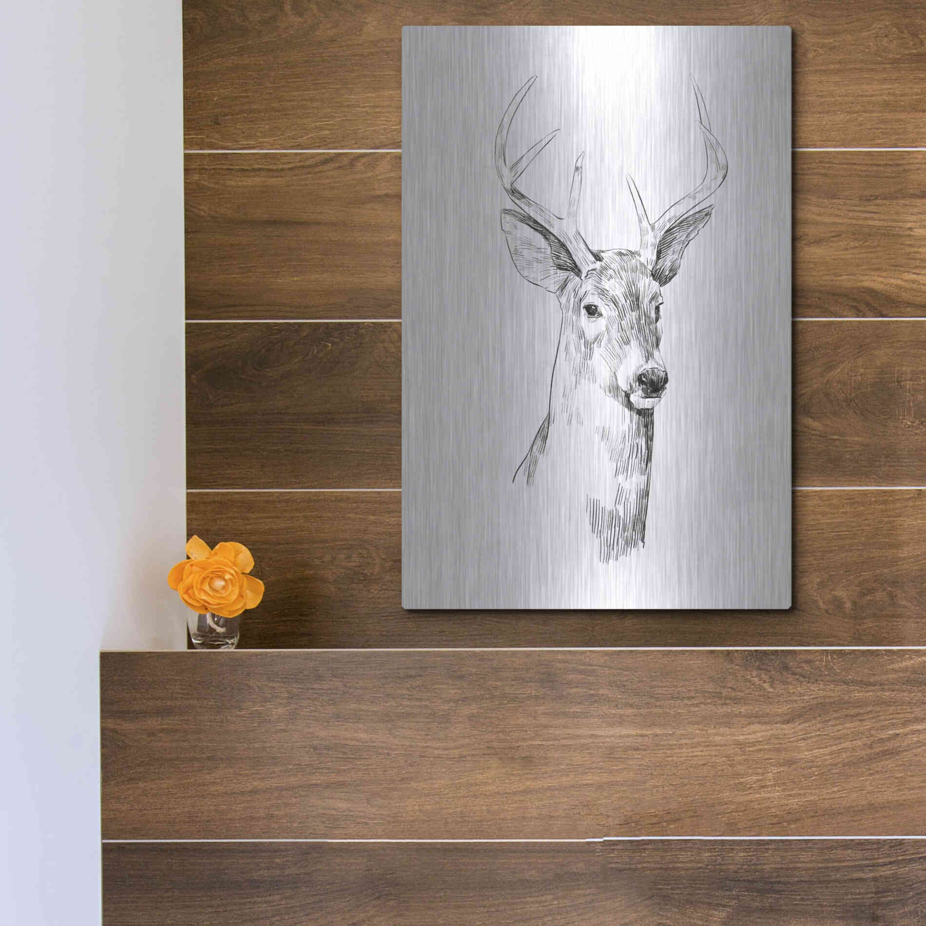 Luxe Metal Art 'Young Buck Sketch I' by Emma Scarvey, Metal Wall Art,12x16