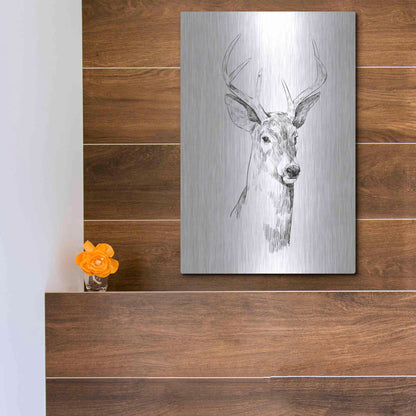 Luxe Metal Art 'Young Buck Sketch I' by Emma Scarvey, Metal Wall Art,12x16