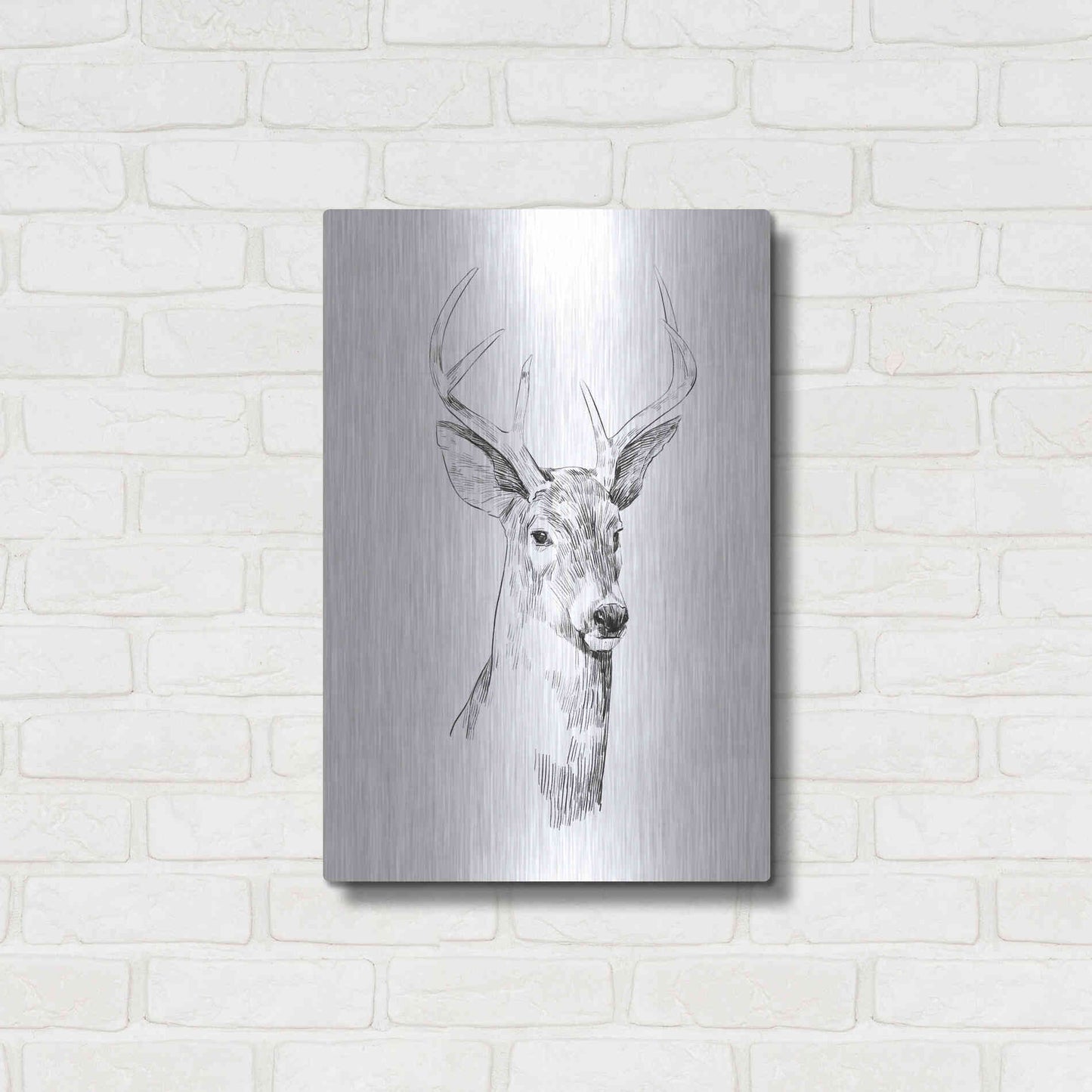 Luxe Metal Art 'Young Buck Sketch I' by Emma Scarvey, Metal Wall Art,16x24