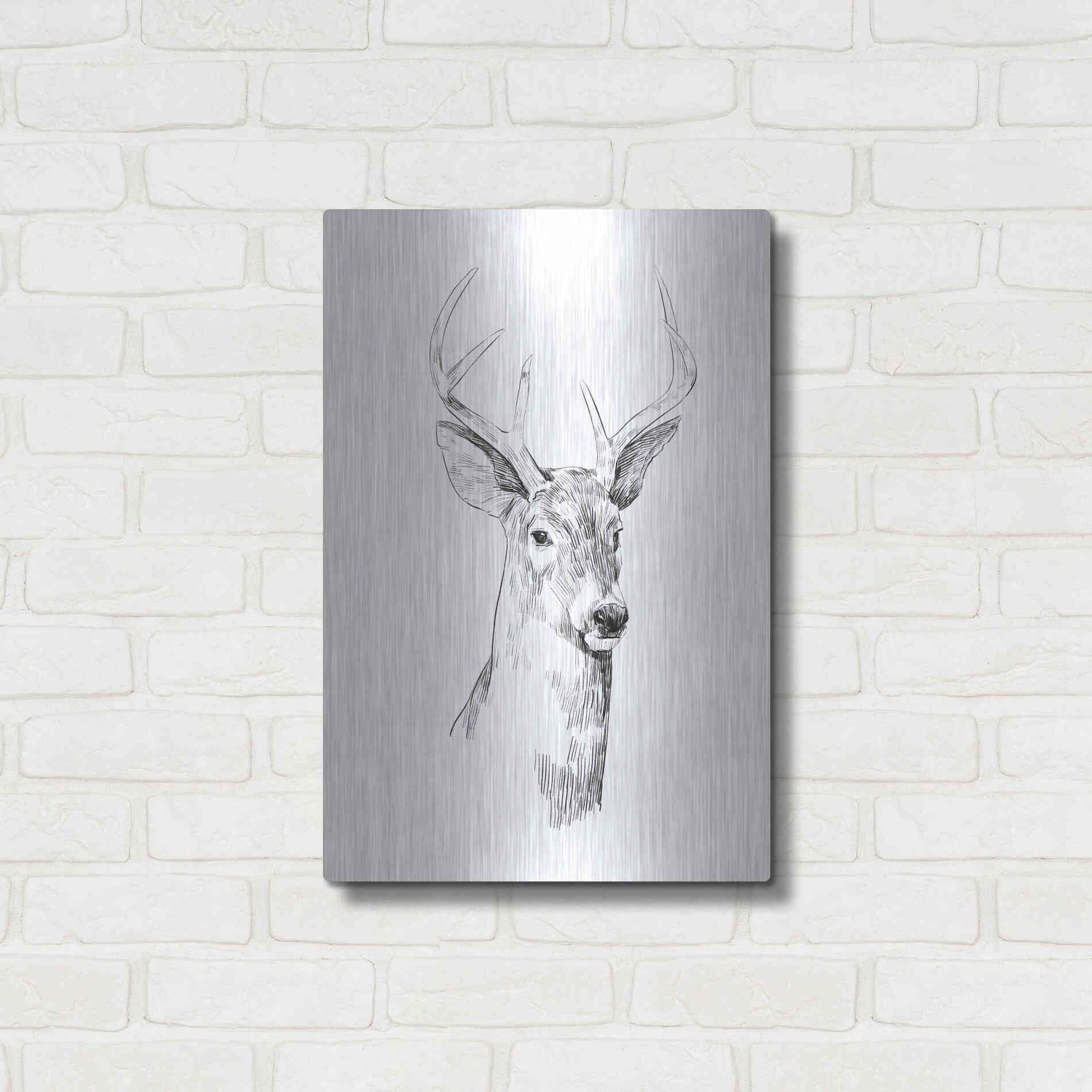 Luxe Metal Art 'Young Buck Sketch I' by Emma Scarvey, Metal Wall Art,16x24