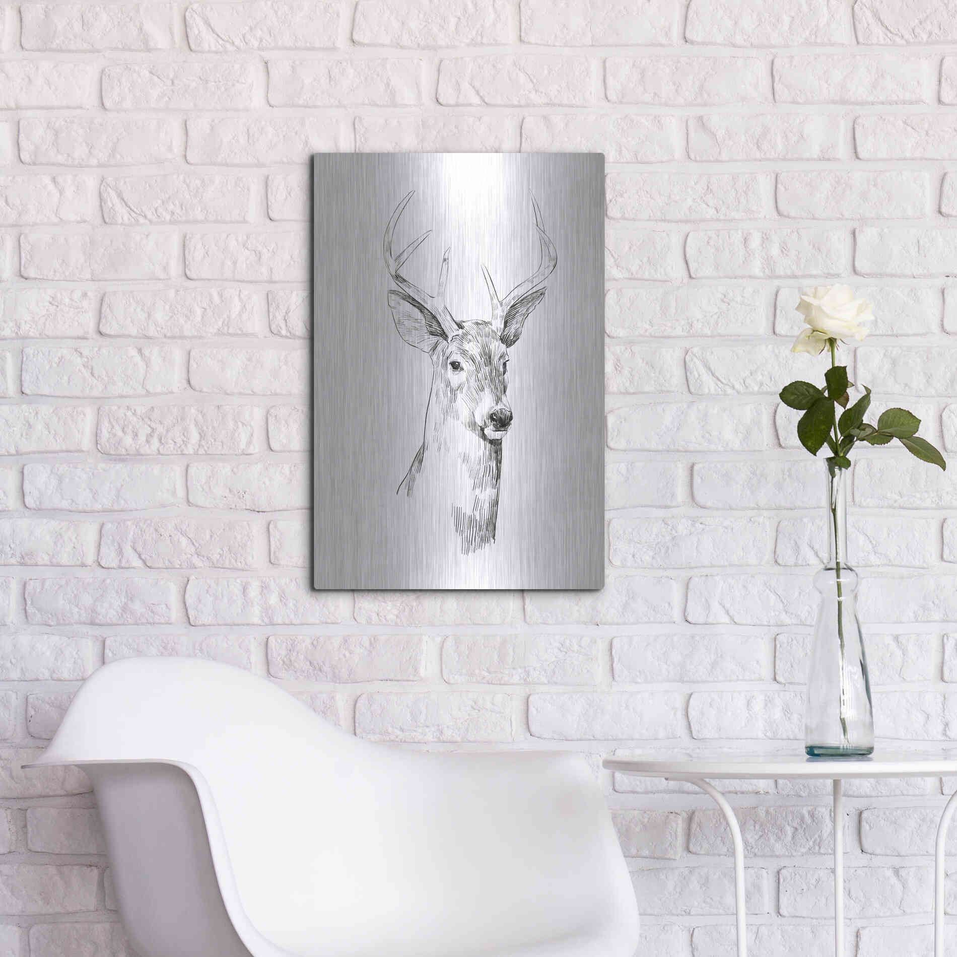 Luxe Metal Art 'Young Buck Sketch I' by Emma Scarvey, Metal Wall Art,16x24