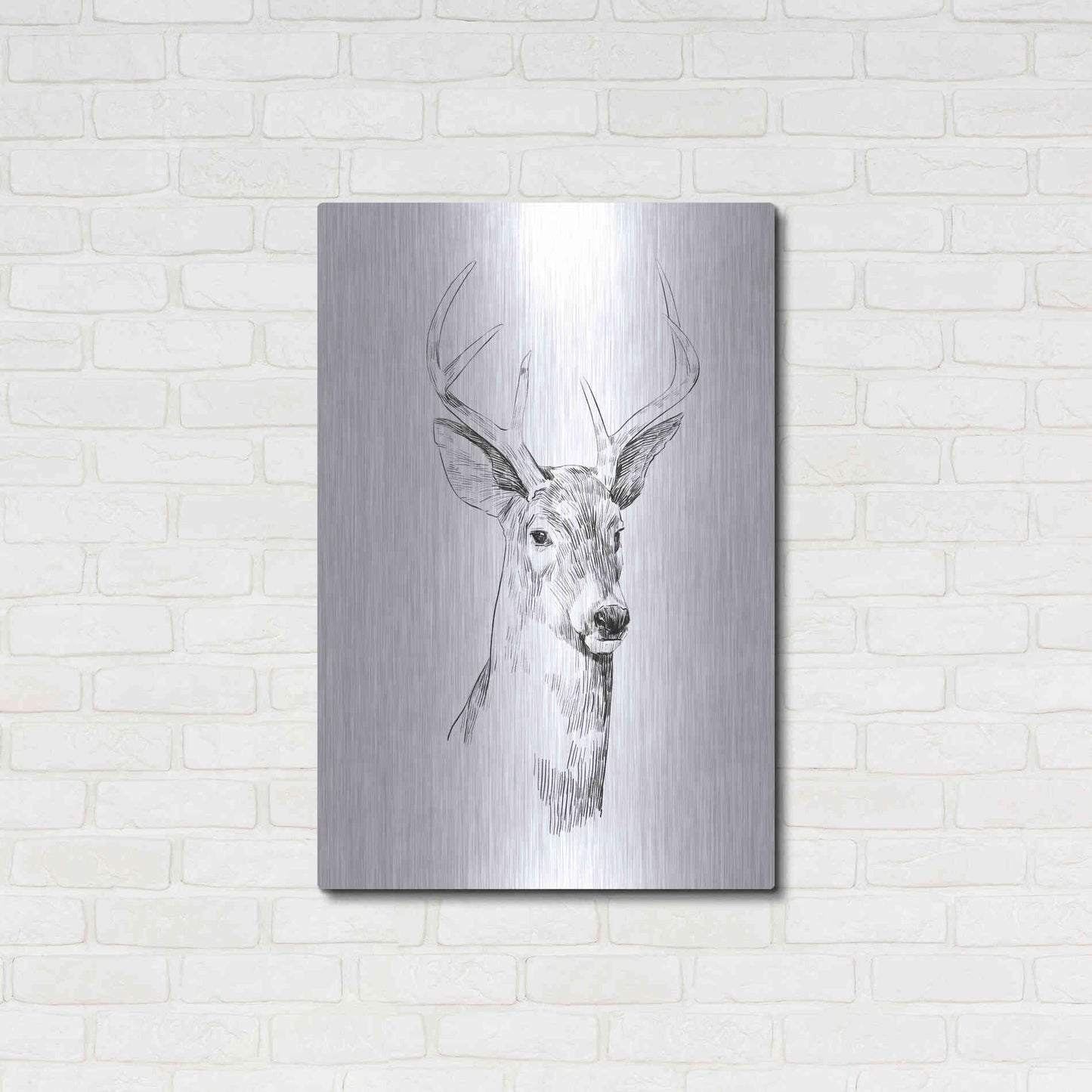 Luxe Metal Art 'Young Buck Sketch I' by Emma Scarvey, Metal Wall Art,24x36