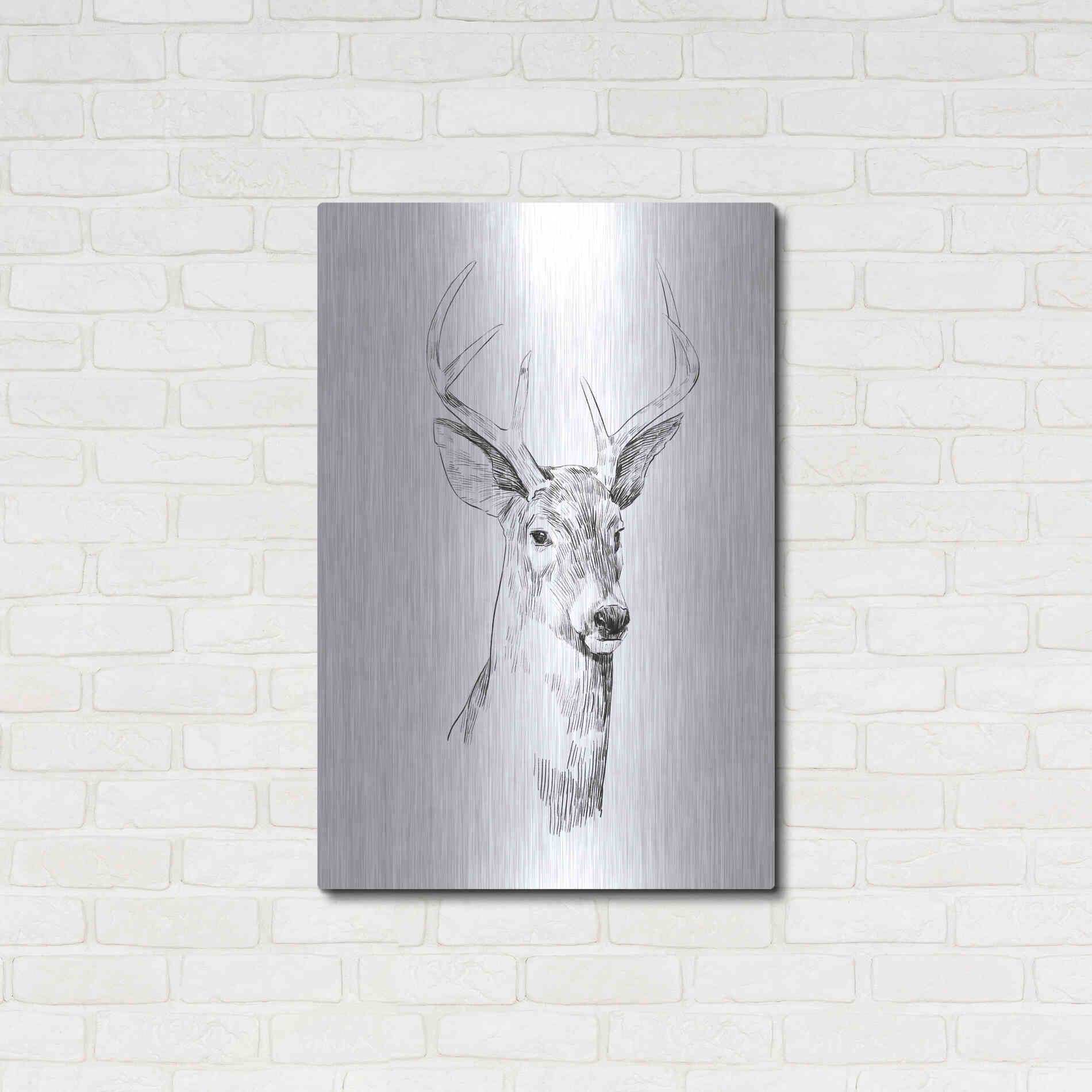 Luxe Metal Art 'Young Buck Sketch I' by Emma Scarvey, Metal Wall Art,24x36