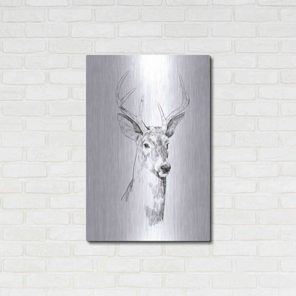 Luxe Metal Art 'Young Buck Sketch I' by Emma Scarvey, Metal Wall Art,24x36