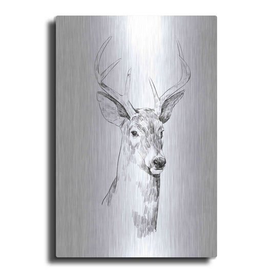 Luxe Metal Art 'Young Buck Sketch I' by Emma Scarvey, Metal Wall Art