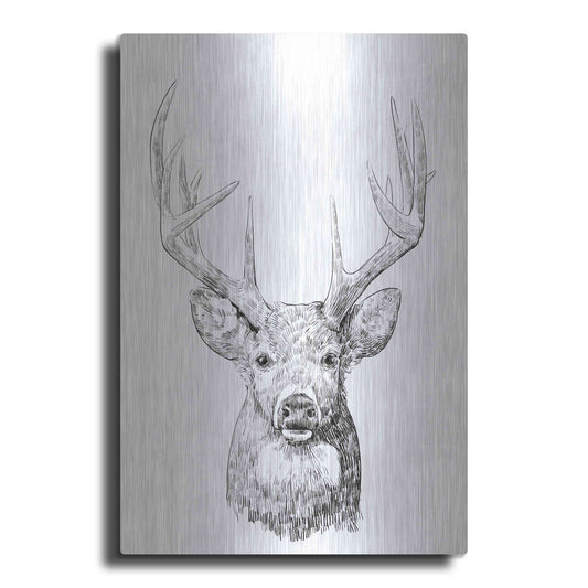 Luxe Metal Art 'Young Buck Sketch II' by Emma Scarvey, Metal Wall Art