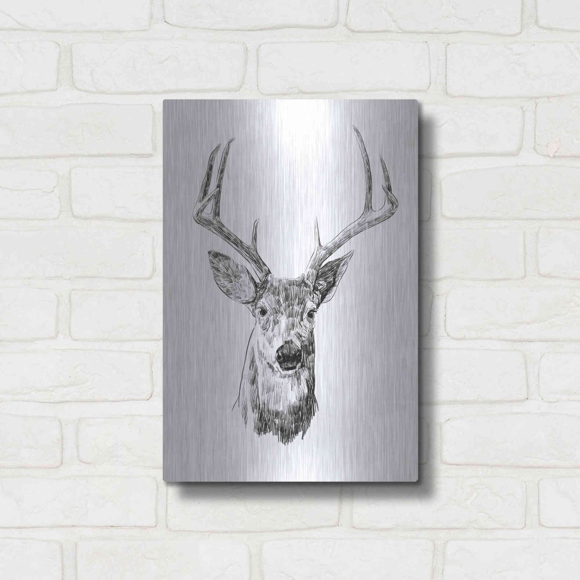 Luxe Metal Art 'Young Buck Sketch III' by Emma Scarvey, Metal Wall Art,12x16