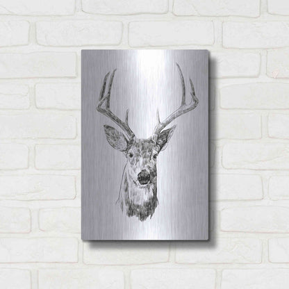 Luxe Metal Art 'Young Buck Sketch III' by Emma Scarvey, Metal Wall Art,12x16