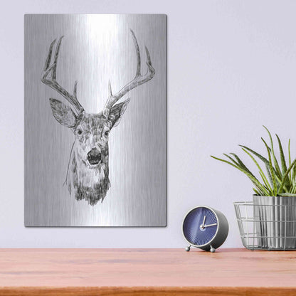 Luxe Metal Art 'Young Buck Sketch III' by Emma Scarvey, Metal Wall Art,12x16
