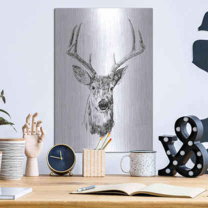Luxe Metal Art 'Young Buck Sketch III' by Emma Scarvey, Metal Wall Art,12x16