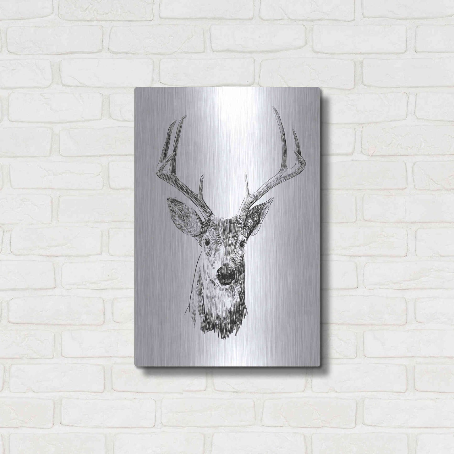 Luxe Metal Art 'Young Buck Sketch III' by Emma Scarvey, Metal Wall Art,16x24