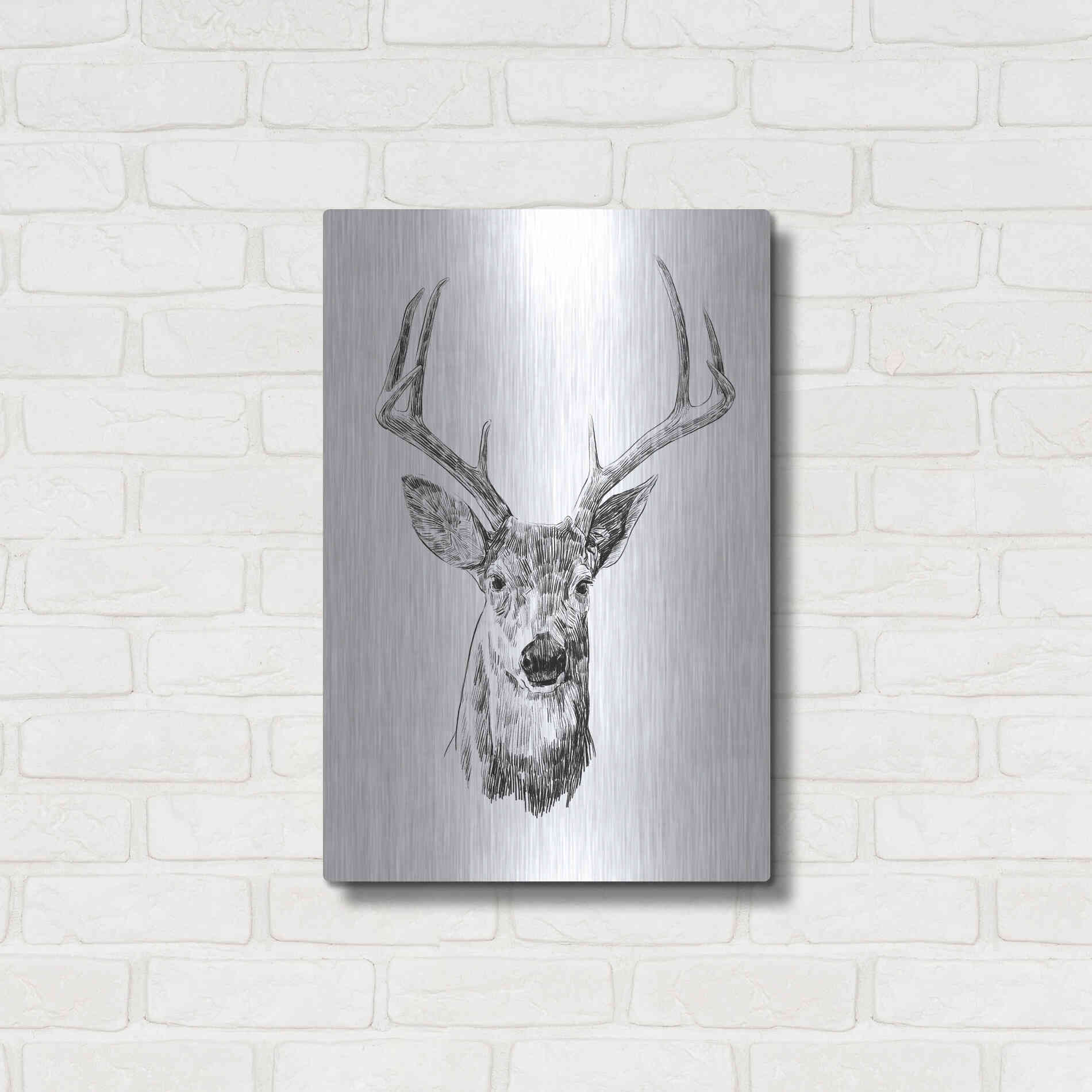 Luxe Metal Art 'Young Buck Sketch III' by Emma Scarvey, Metal Wall Art,16x24