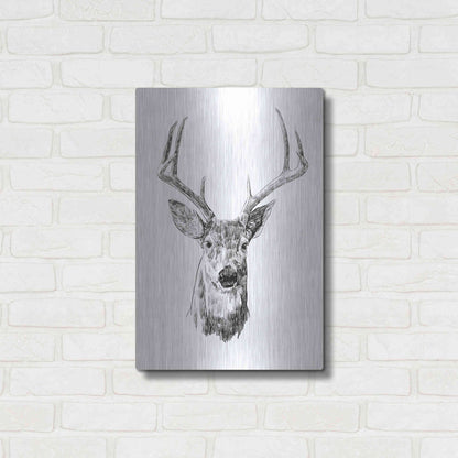 Luxe Metal Art 'Young Buck Sketch III' by Emma Scarvey, Metal Wall Art,16x24