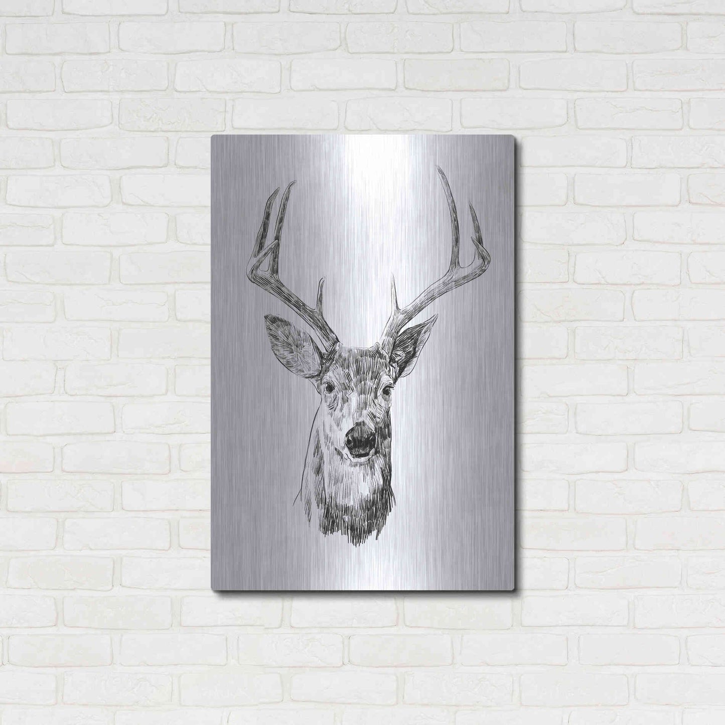 Luxe Metal Art 'Young Buck Sketch III' by Emma Scarvey, Metal Wall Art,24x36