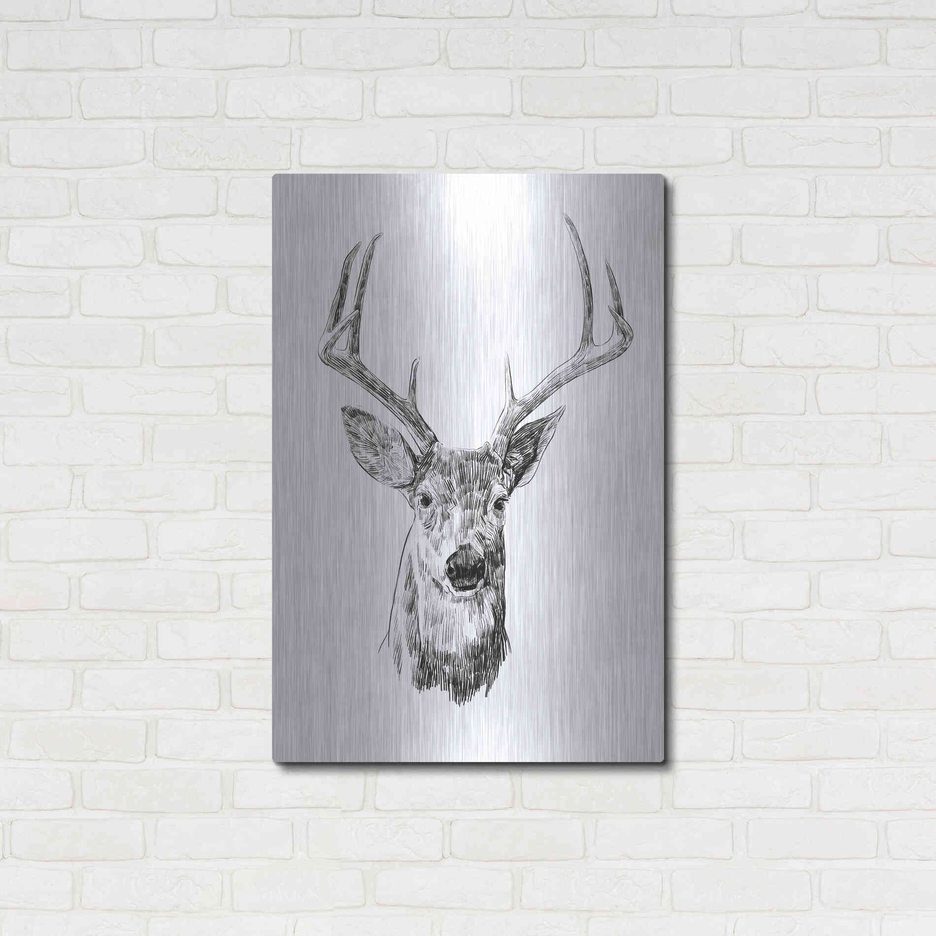 Luxe Metal Art 'Young Buck Sketch III' by Emma Scarvey, Metal Wall Art,24x36