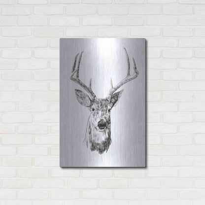 Luxe Metal Art 'Young Buck Sketch III' by Emma Scarvey, Metal Wall Art,24x36