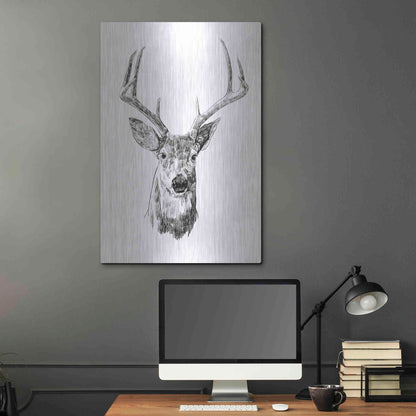 Luxe Metal Art 'Young Buck Sketch III' by Emma Scarvey, Metal Wall Art,24x36