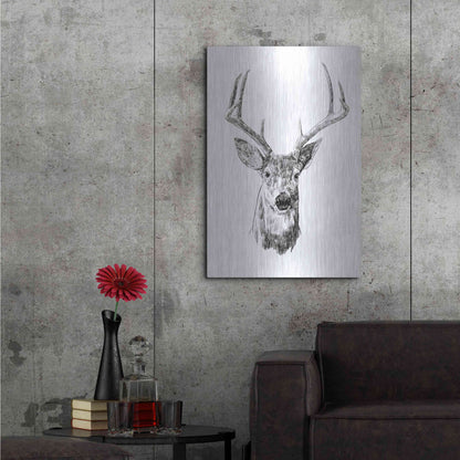 Luxe Metal Art 'Young Buck Sketch III' by Emma Scarvey, Metal Wall Art,24x36