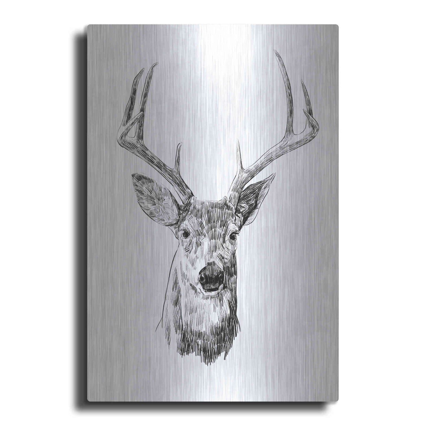 Luxe Metal Art 'Young Buck Sketch III' by Emma Scarvey, Metal Wall Art