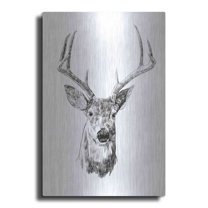 Luxe Metal Art 'Young Buck Sketch III' by Emma Scarvey, Metal Wall Art